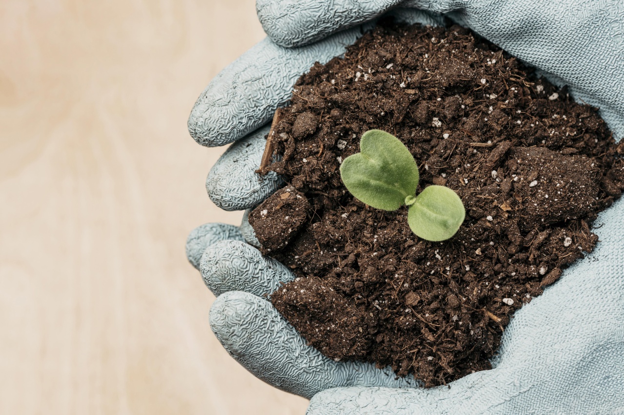top-view-hands-with-gloves-holding-soil-plant-with-copy-space.jpg