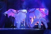 DSC_0411.JPG