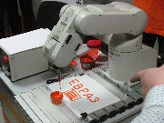 IMG_7155.JPG