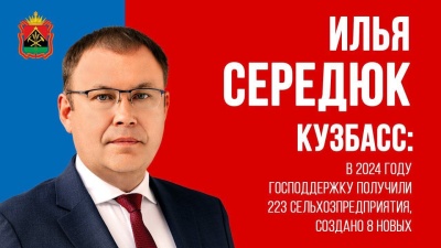 В 2024 году господдержку получили 223 сельхозпредприятия, создано 8 новых