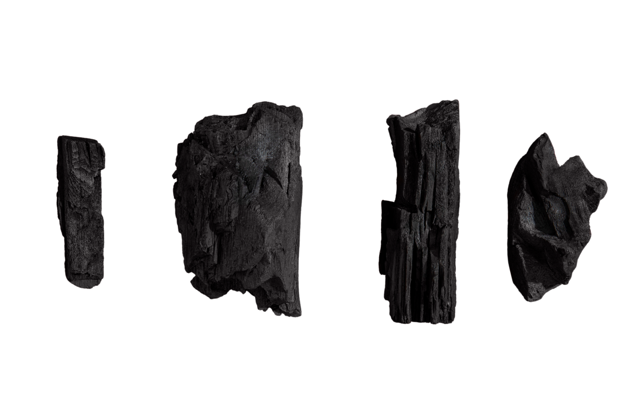 top-view-hands-with-gloves-holding-soil-pпапаапlant-with-copy-space.png
