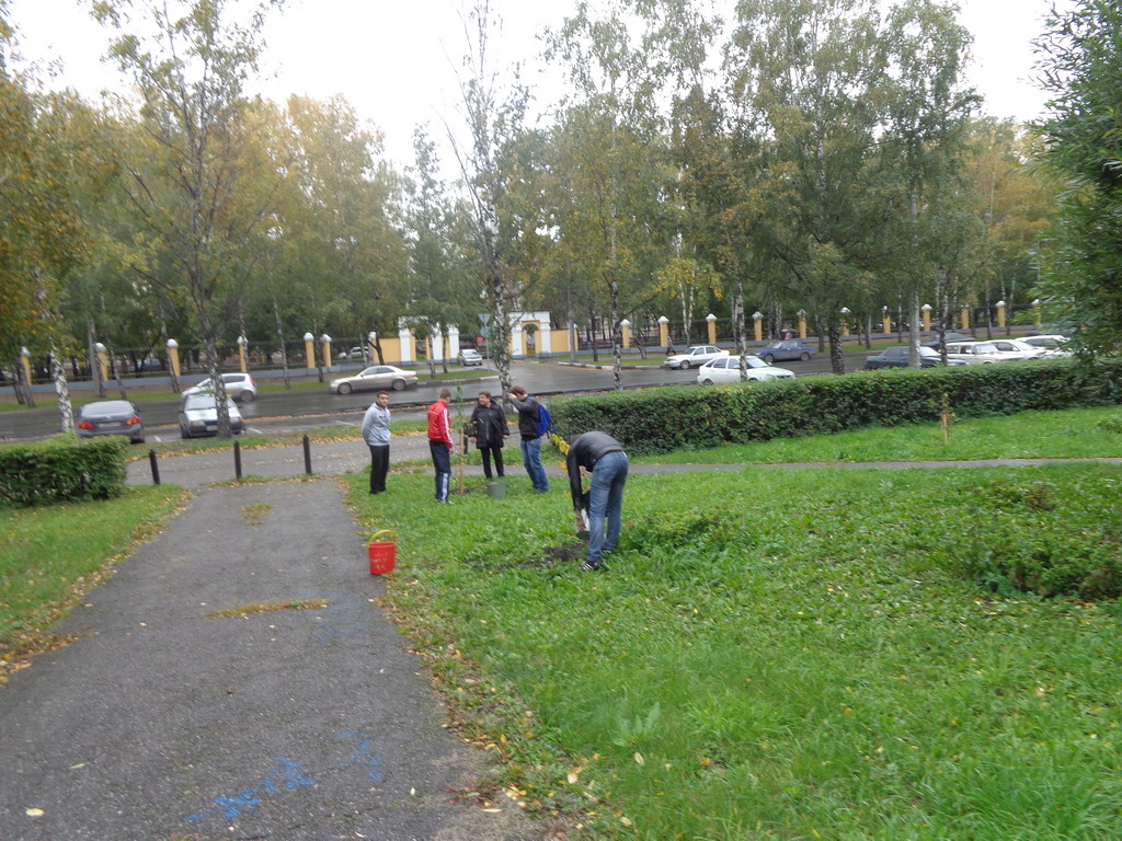 DSC00730.jpg